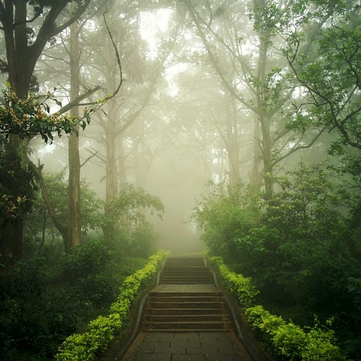 Nature travel hero image